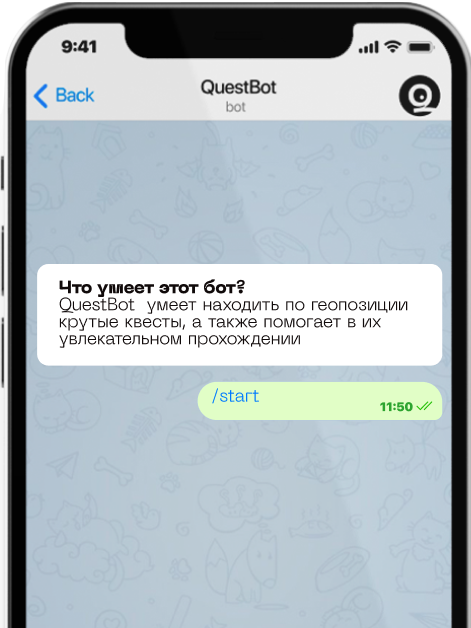 bot-chat